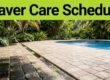 Florida pool deck showing clean pavers beside a dark algae-covered section.