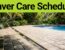 Florida pool deck showing clean pavers beside a dark algae-covered section.