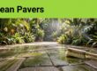 Green algae covers shaded patio stones beside a cleaning brush, with tropical plants in the background.
