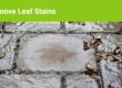 leaf stains on pavers